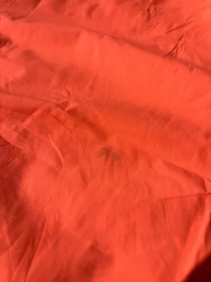 2a2b1e.webp