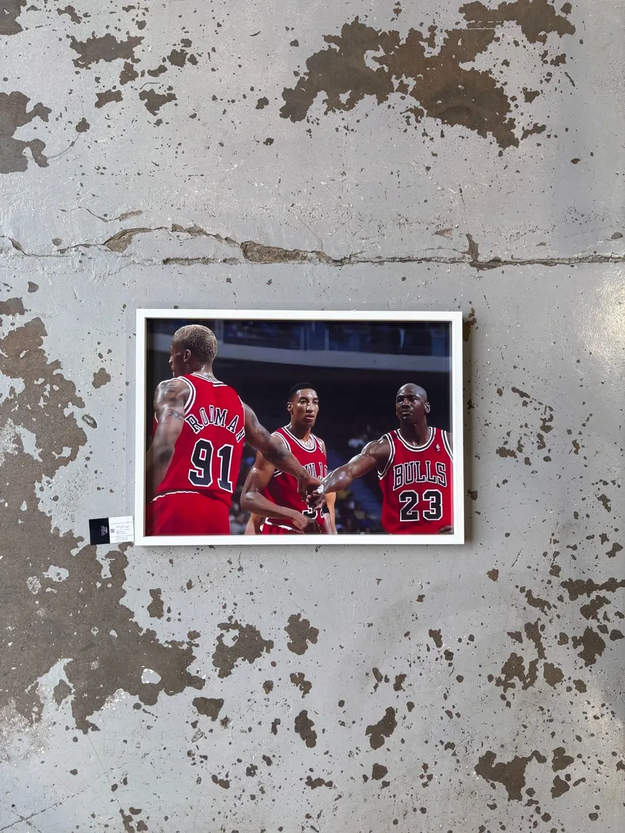Framed Chicago Bulls A2 Print