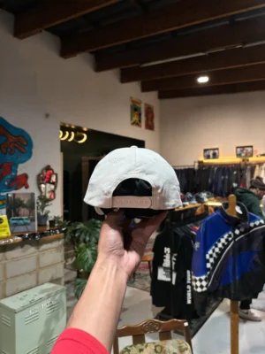 245f53.webp