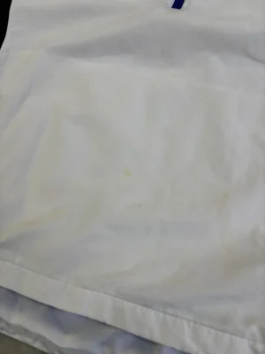 a8ebe6.webp